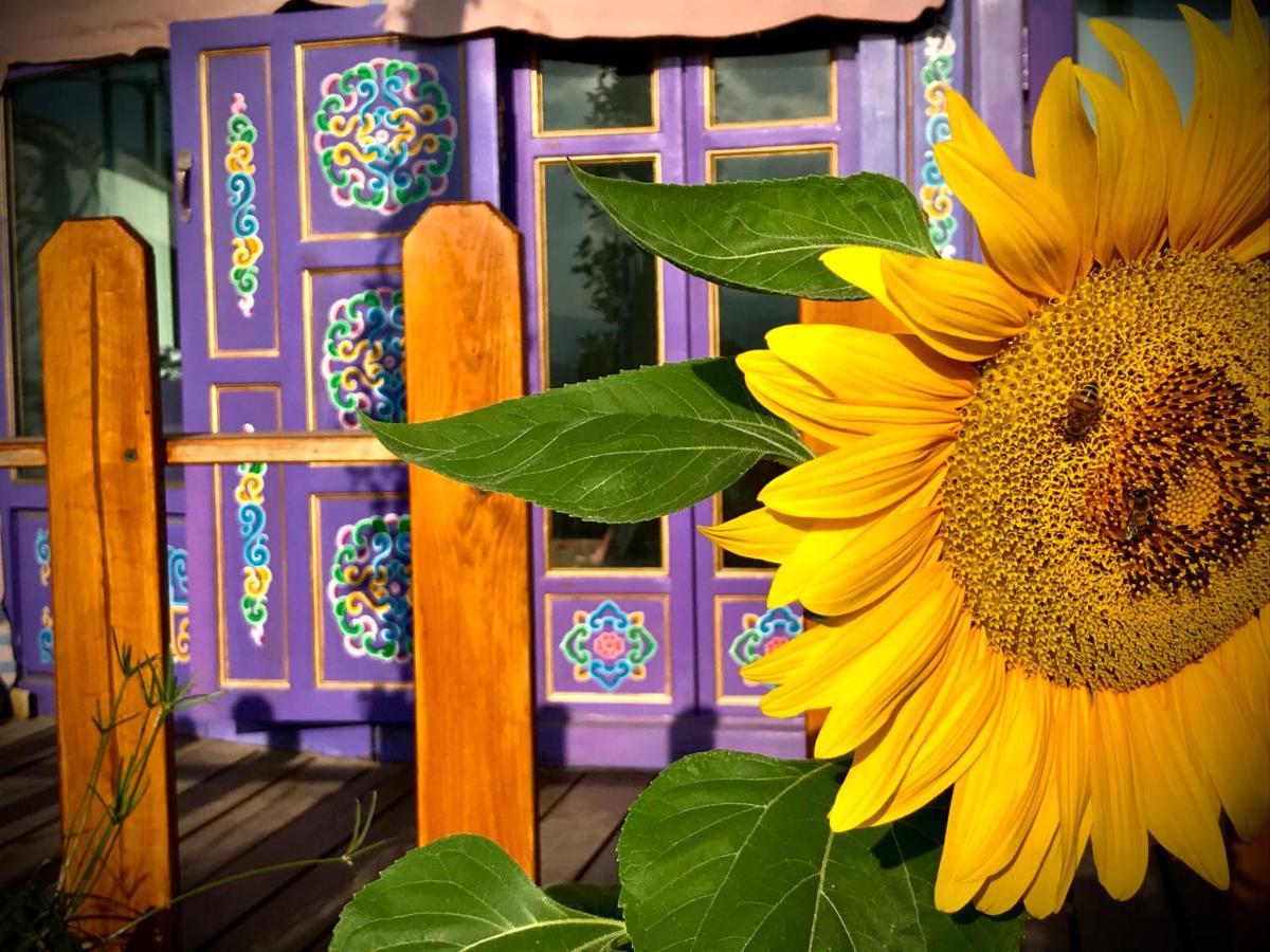 Exclusive Nirvana Yurts Glamping Kato Drys Luaran gambar