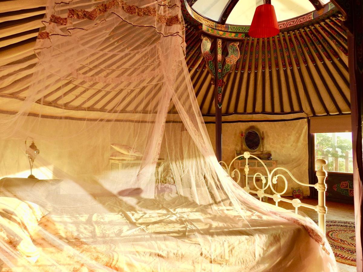 Exclusive Nirvana Yurts Glamping Kato Drys Luaran gambar